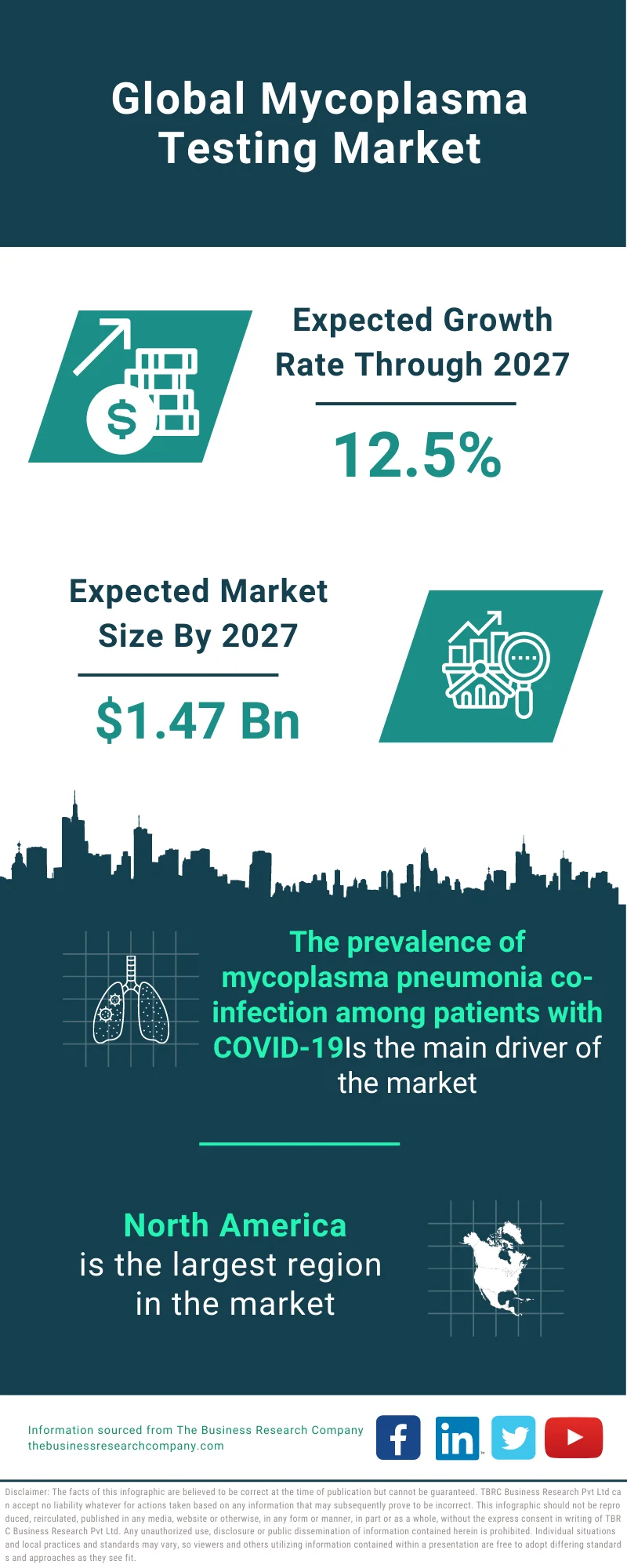 Mycoplasma Testing Market