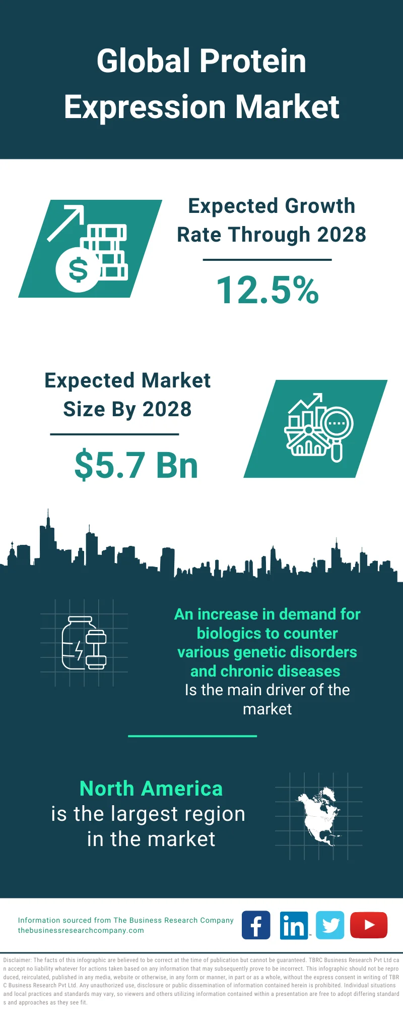 Protein Expression Market