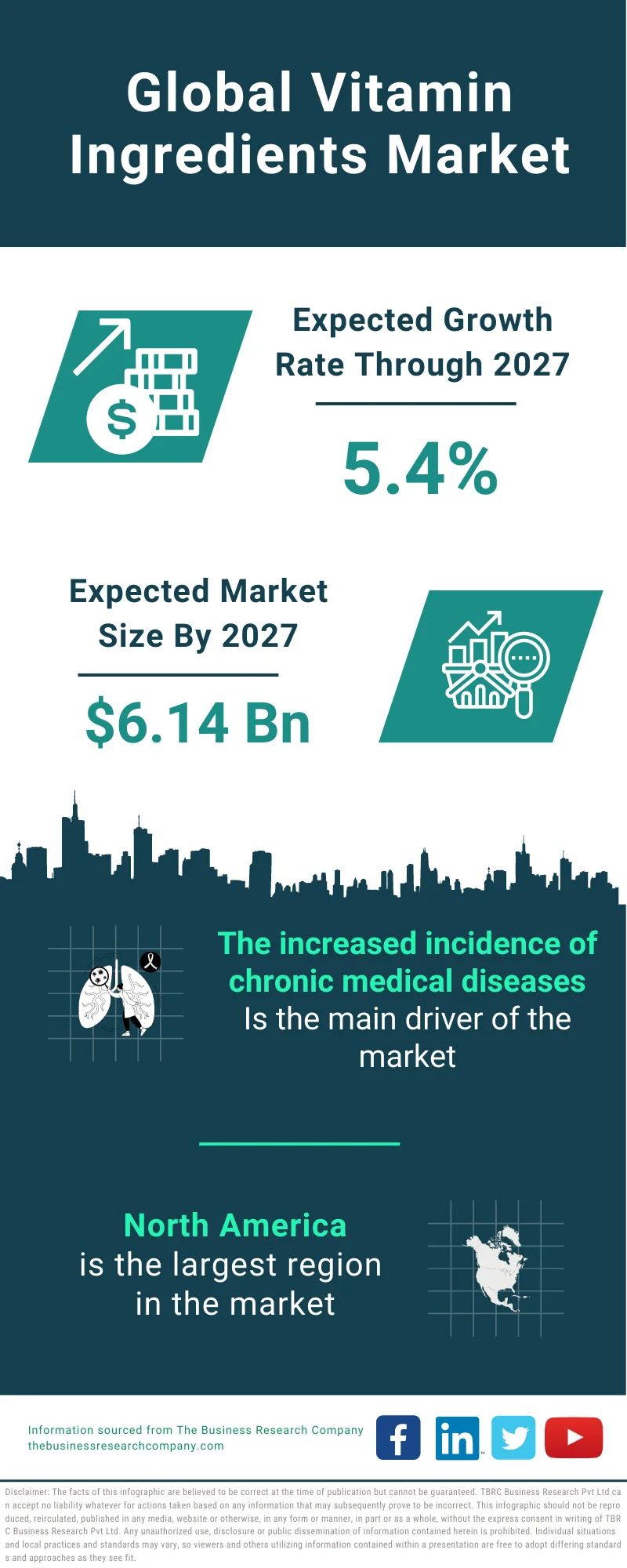 Vitamin Ingredients Market