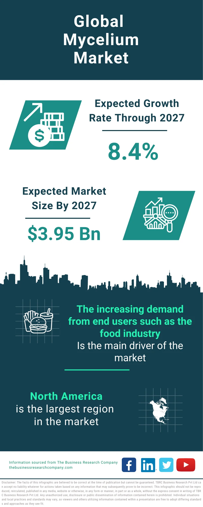 Mycelium Global Market Report 2023