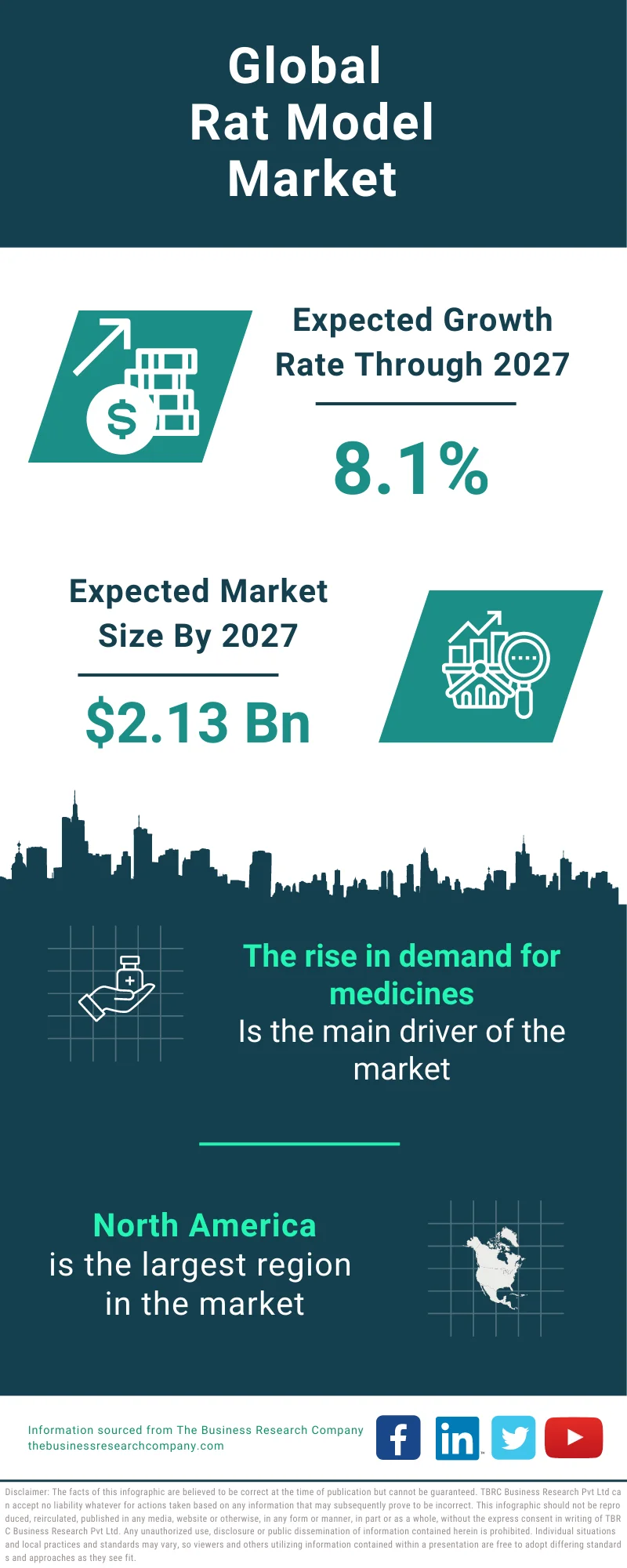 Rat Model Global Market Report 2023