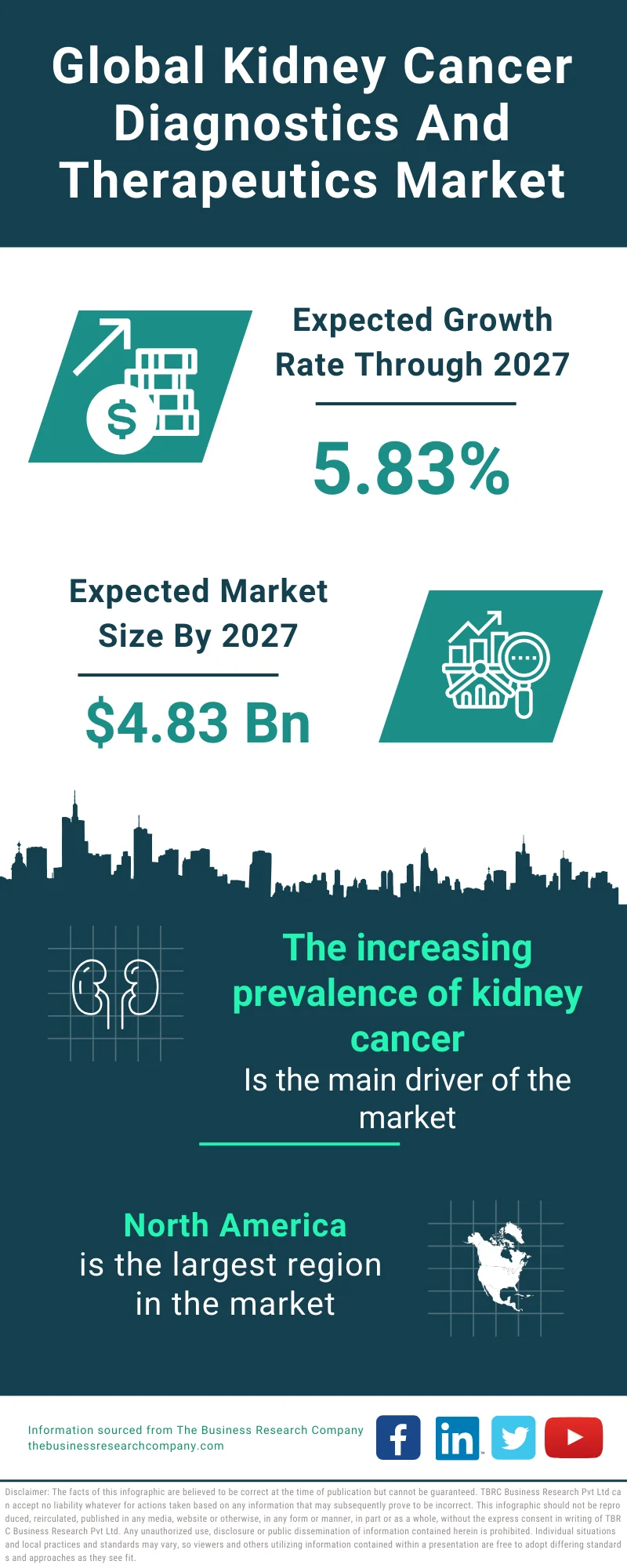 Kidney Cancer Diagnostics And Therapeutics Global Market Report 2023