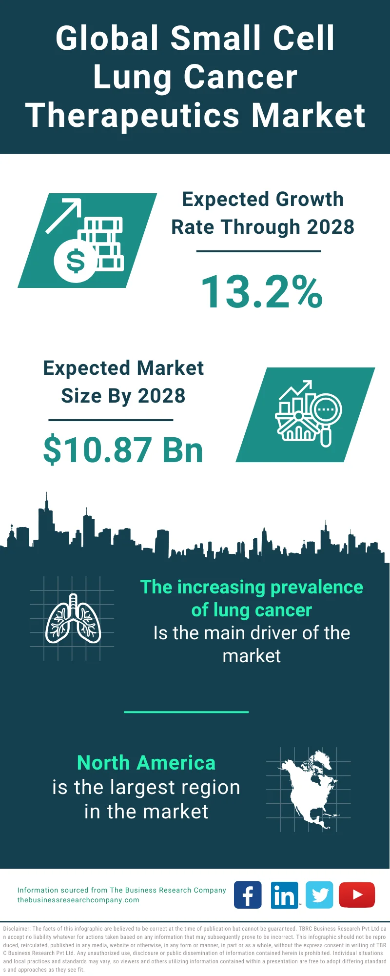 Small Cell Lung Cancer Therapeutics Global Market Report 2024 