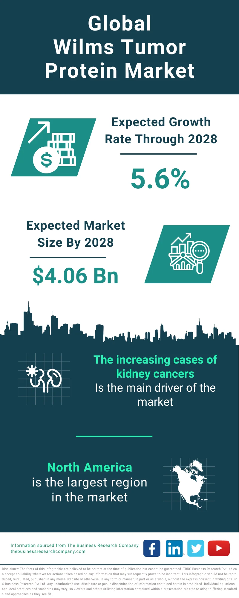 Global Wilms Tumor Protein Market Infographic
