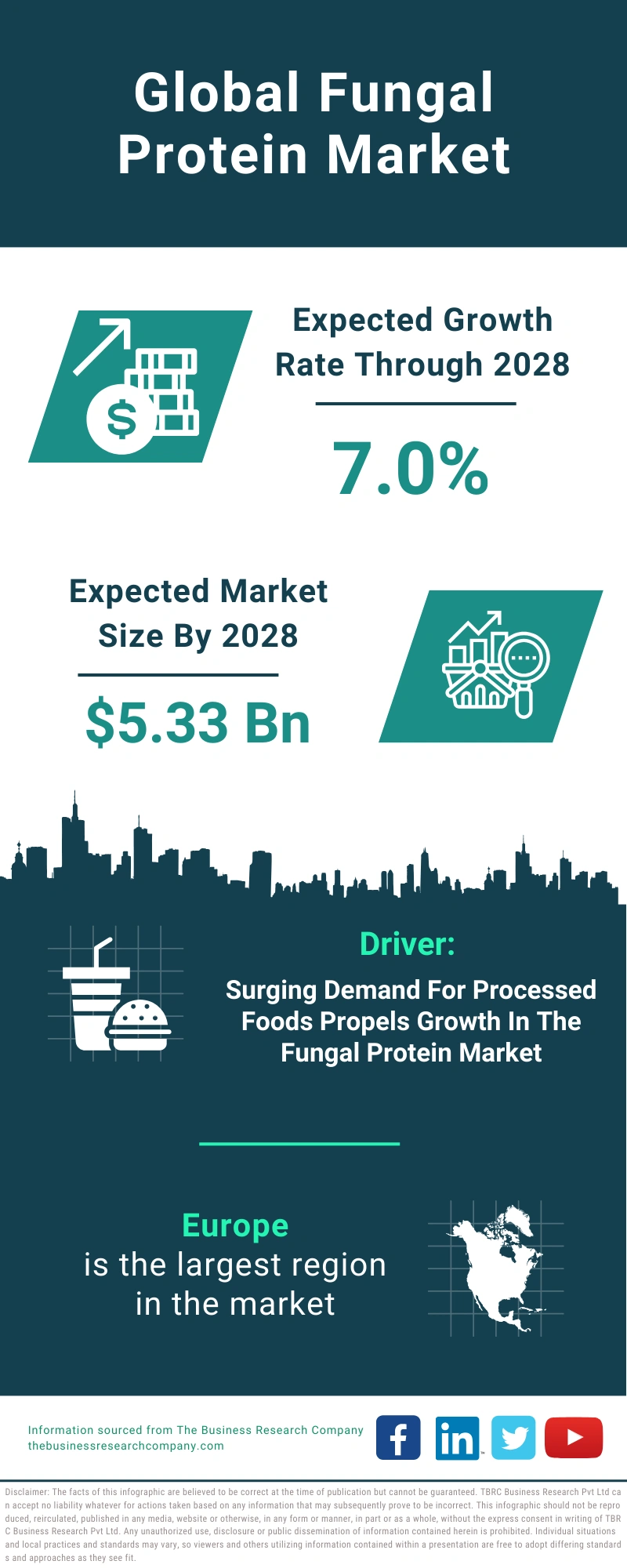 Fungal Protein Global Market Report 2024