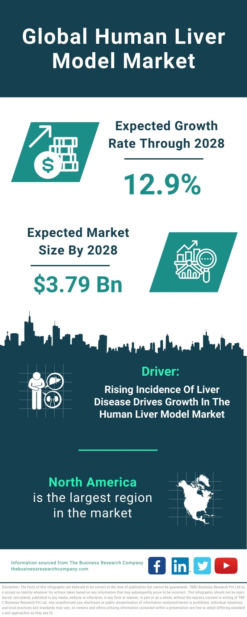 Human Liver Model Global Market Report 2024