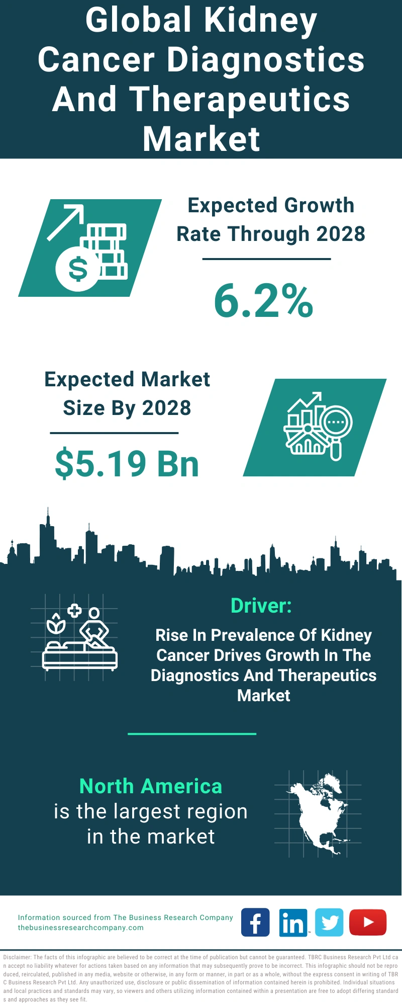 Kidney Cancer Diagnostics And Therapeutics Global Market Report 2024