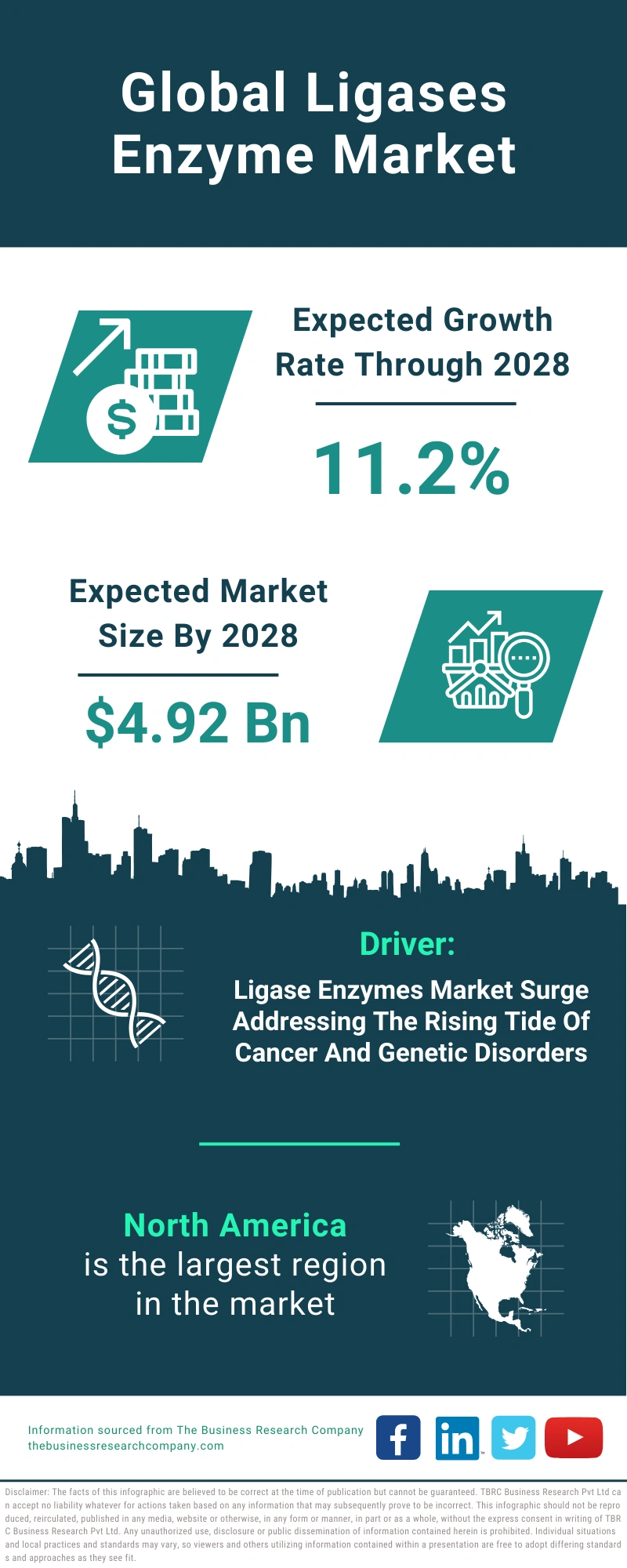 Ligases Enzyme Global Market Report 2024