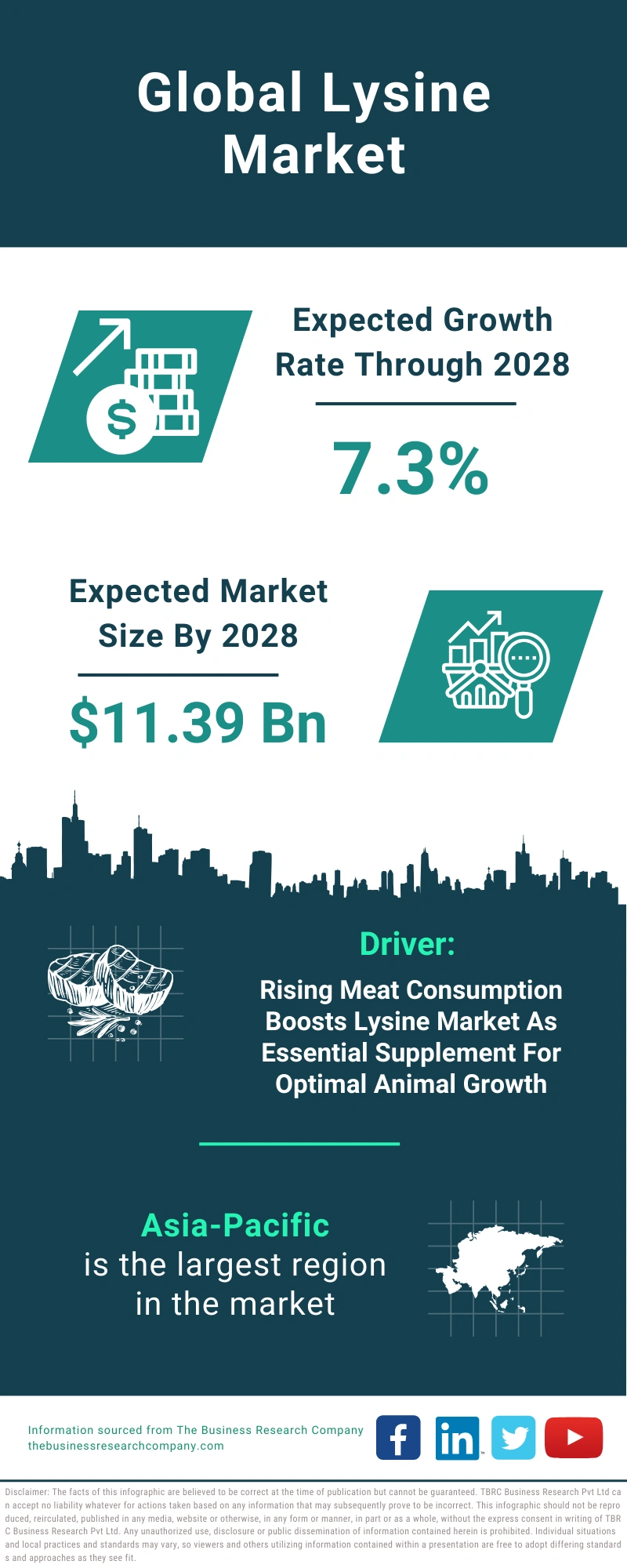 Lysine Global Market Report 2024