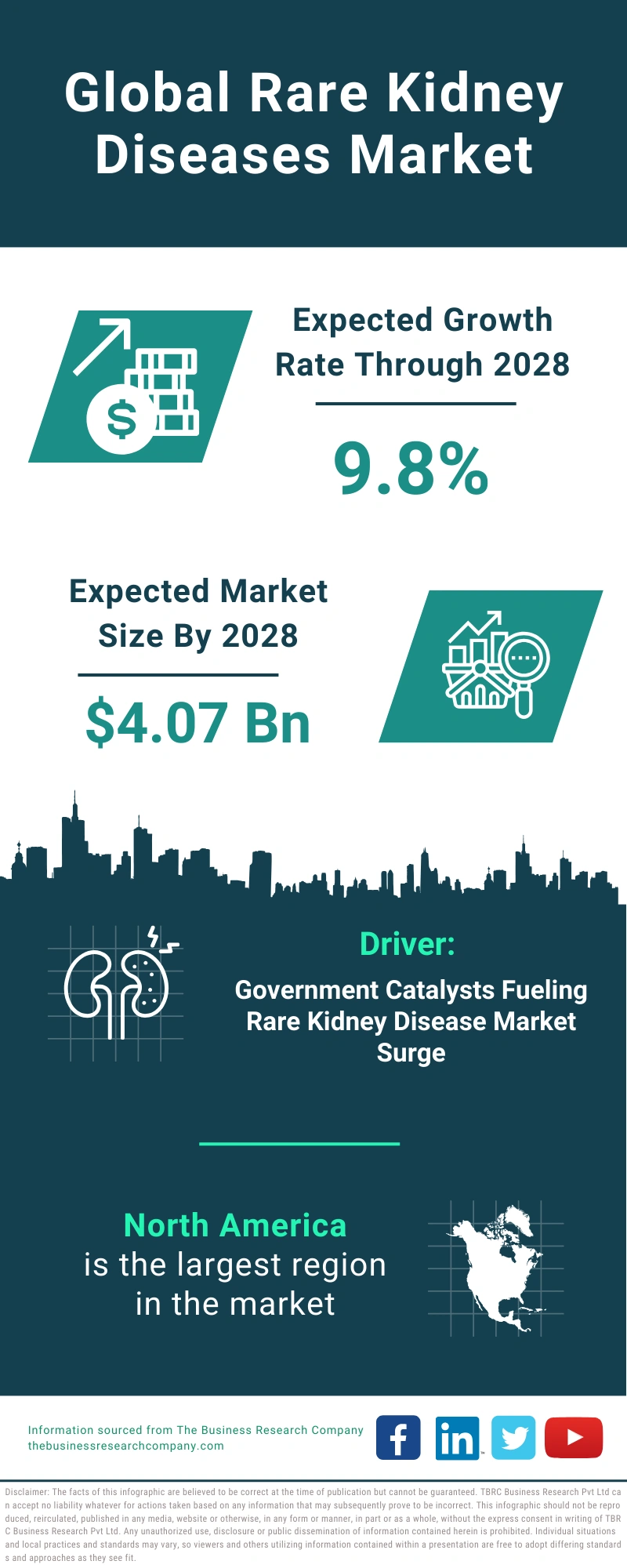 Rare Kidney Diseases Global Market Report 2024
