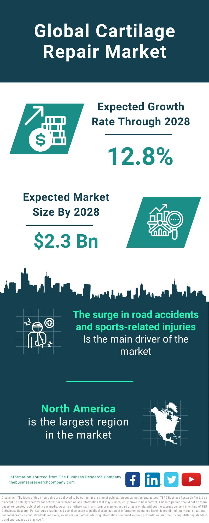 Global Cartilage Repair Market Infographic