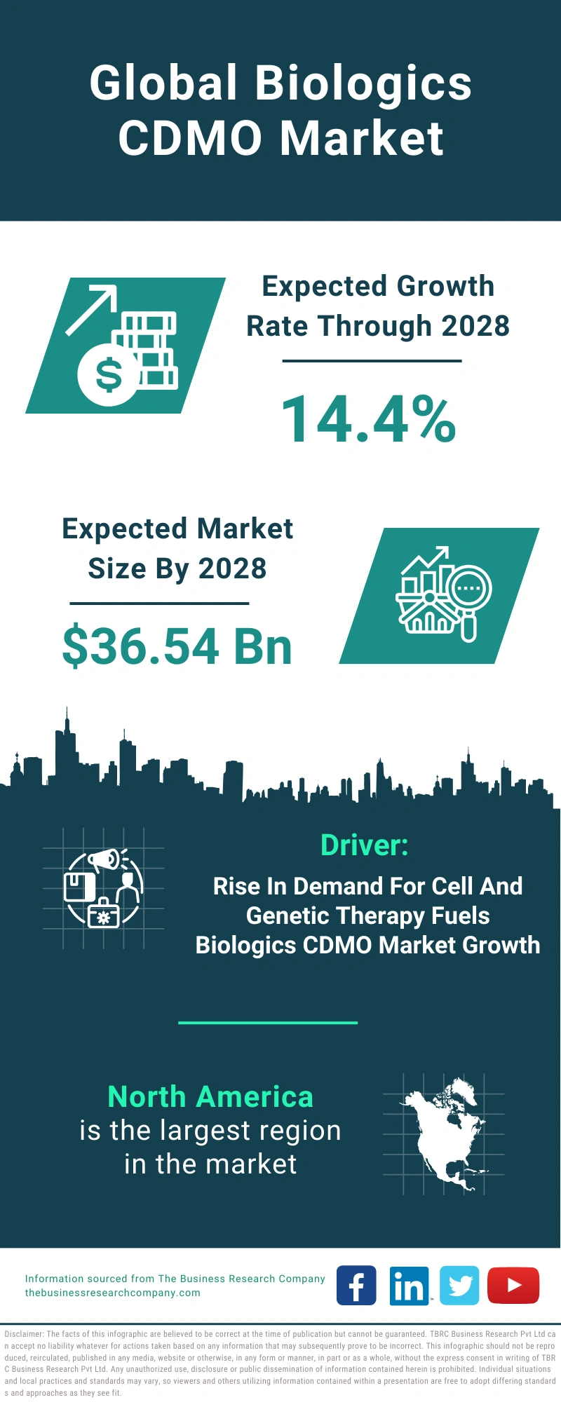 Biologics CDMO Global Market Report 2024