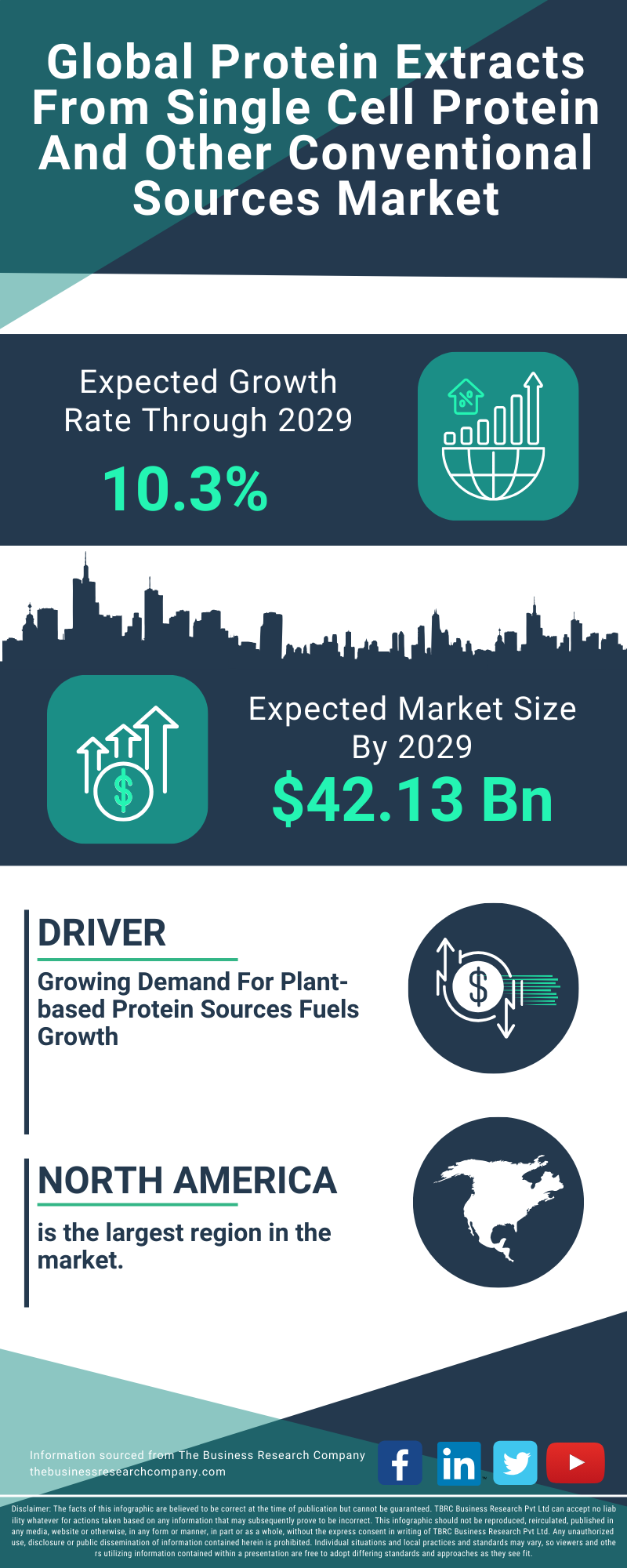 Protein Extracts From Single Cell Protein And Other Conventional Sources Global Market Report 2025
