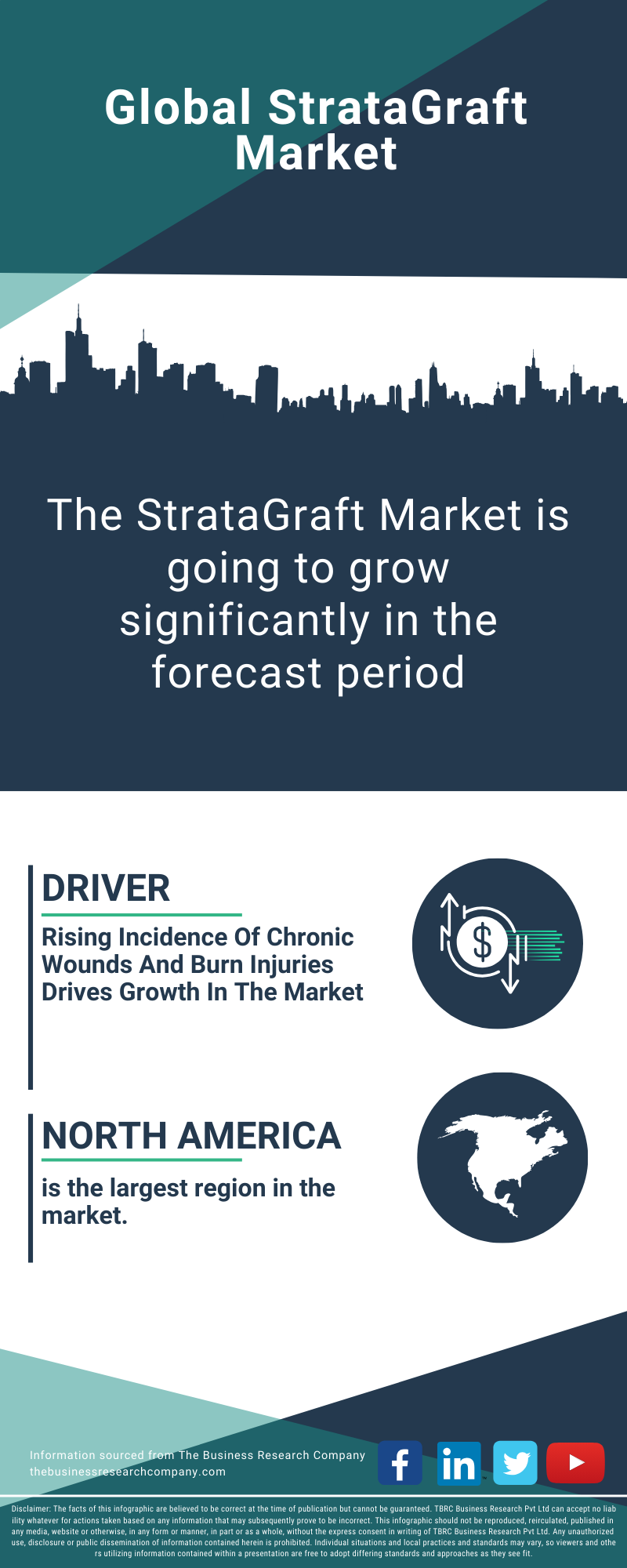 StrataGraft Global Market Report 2025