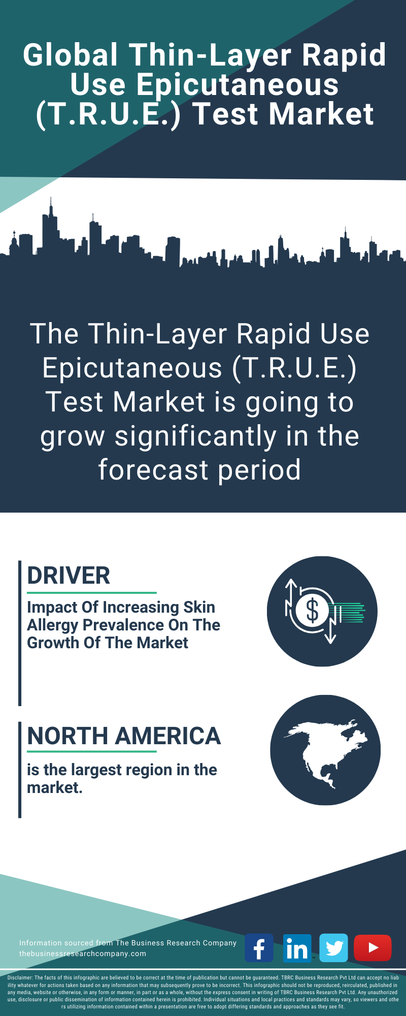 Thin-Layer Rapid Use Epicutaneous (T.R.U.E.) Test Global Market Report 2025