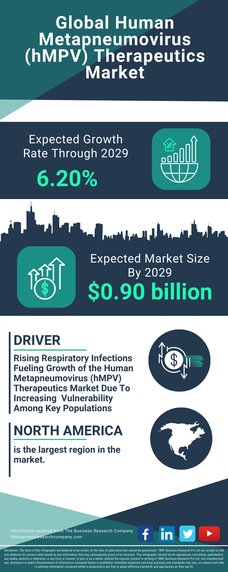 Human Metapneumovirus (hMPV) Therapeutics Global Market Report 2025 