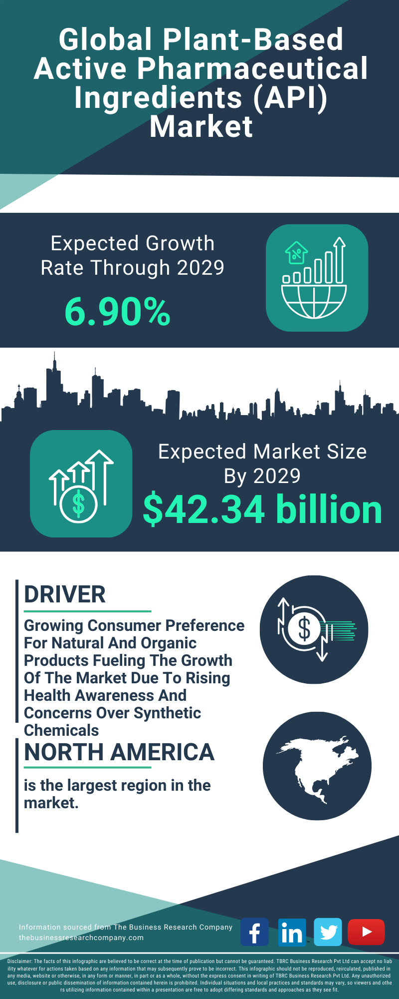Plant-Based Active Pharmaceutical Ingredients (API) Global Market Report 2025