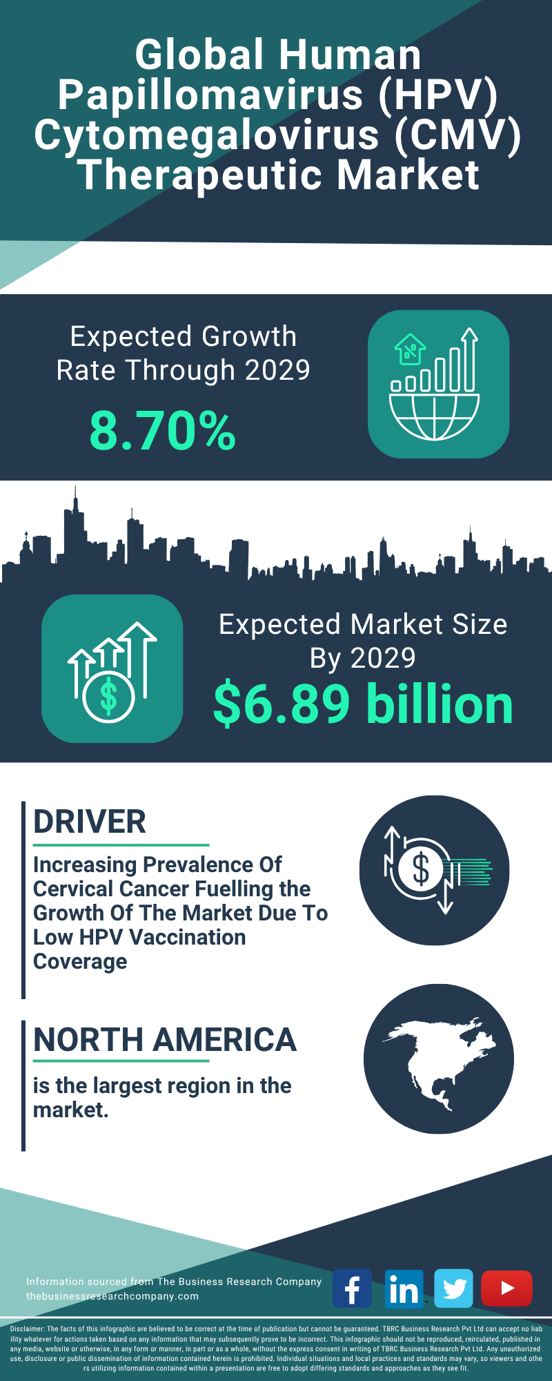 Human Papillomavirus (HPV) Cytomegalovirus (CMV) Therapeutic Global Market Report 2025