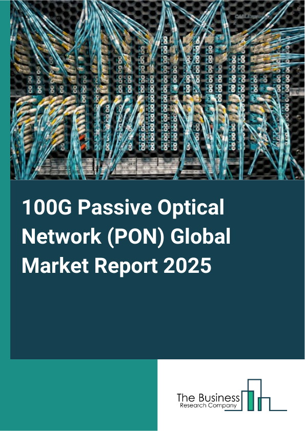 Global 100G Passive Optical Network (PON) Market Report 2025