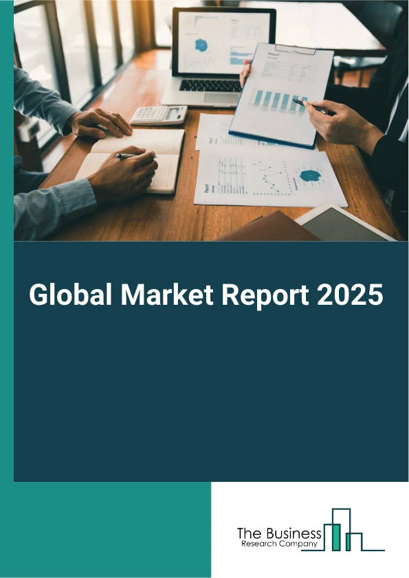 Global Bifacial Solar Market Report 2025