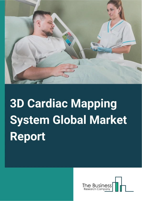 Global 3D Cardiac Mapping System Market Report 2025