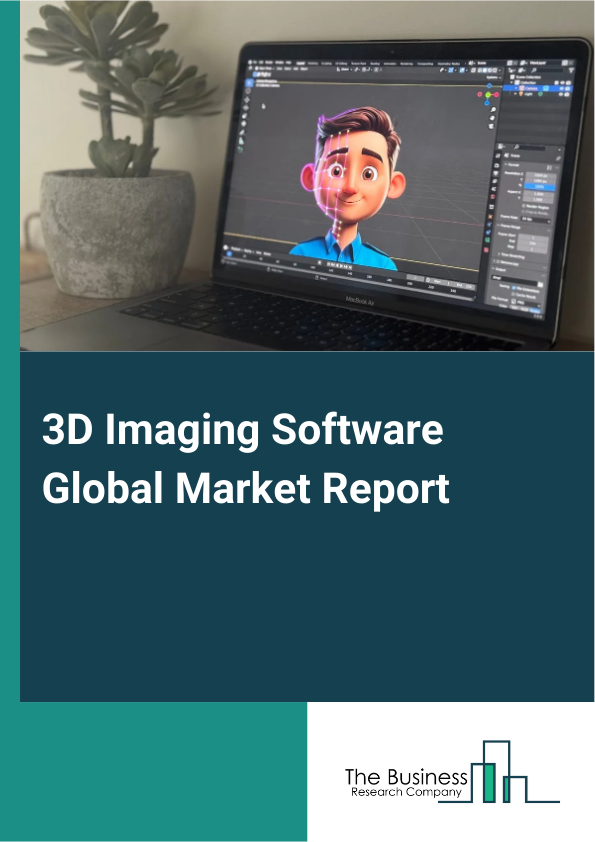 Global 3D Imaging Software Market Report 2025
