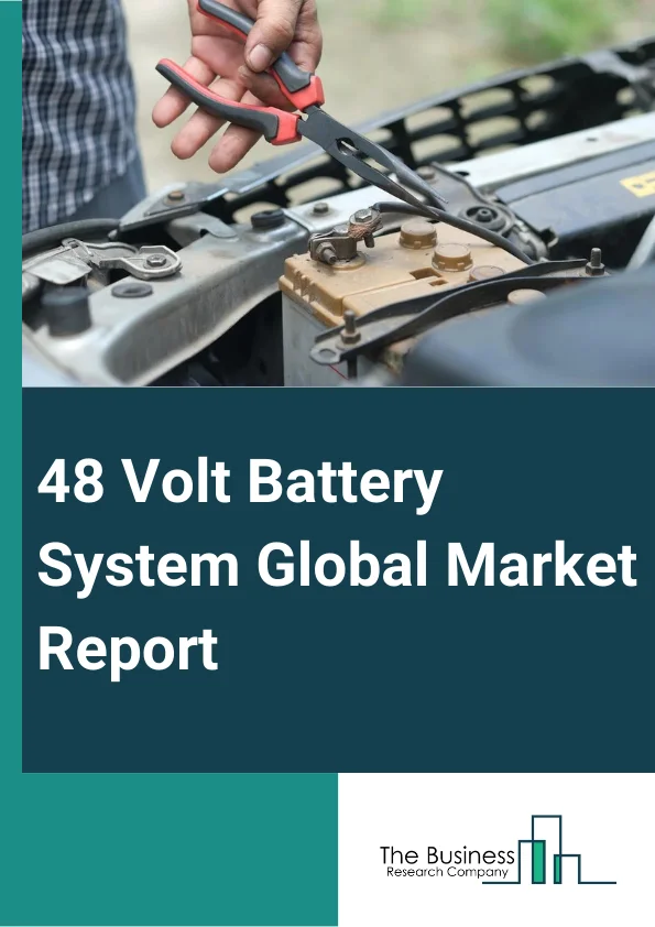 48 Volt Battery System Global Market Report 2023
