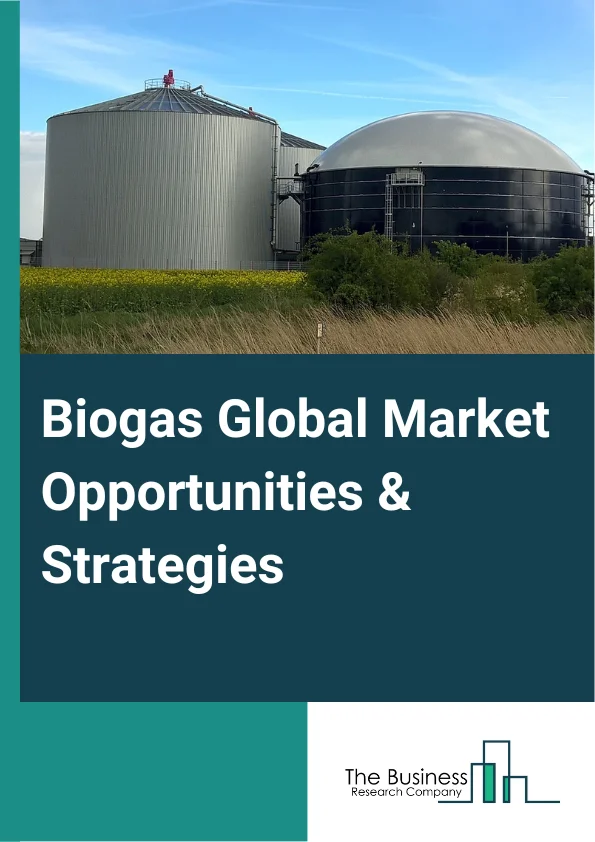 Biogas Global Market Opportunities And Strategies To 2032