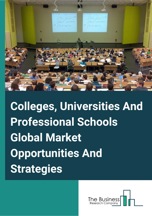 Colleges, Universities, And Professional Schools