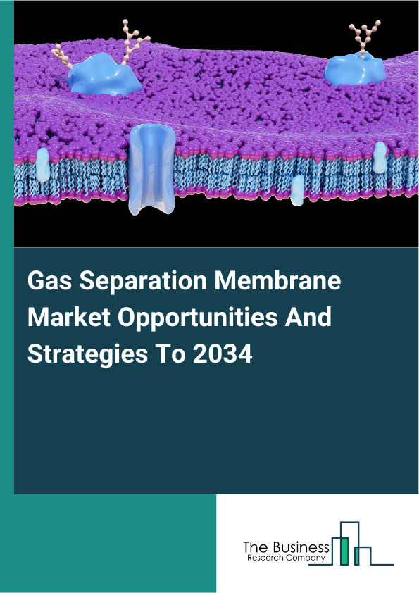 Gas Separation Membrane Market Opportunities And Strategies To 2034