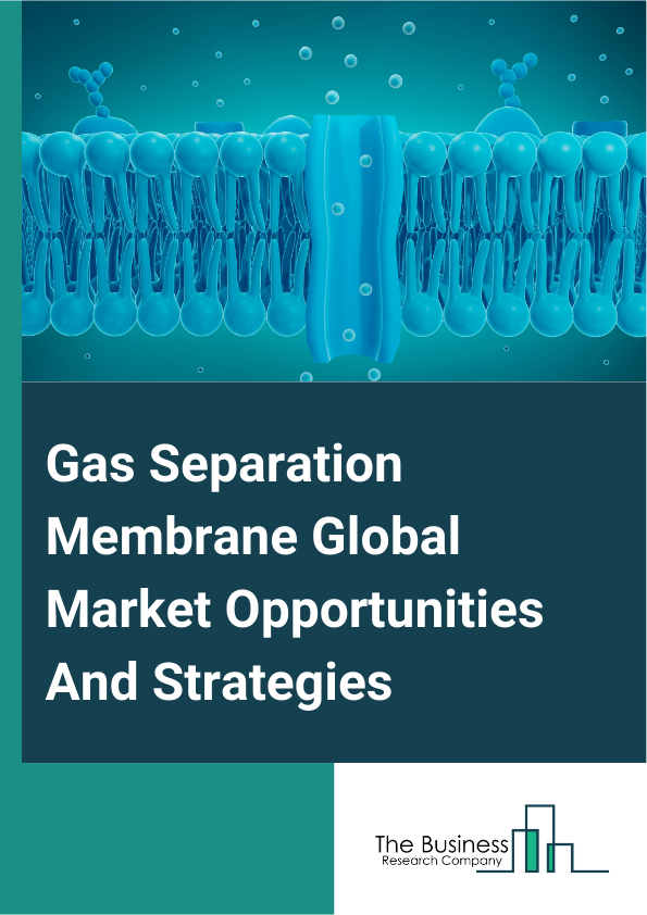Gas Separation Membrane Global Market Opportunities And Strategies To 2033