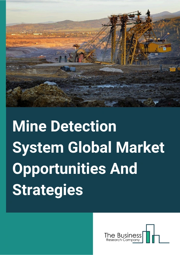 Mine Detection System