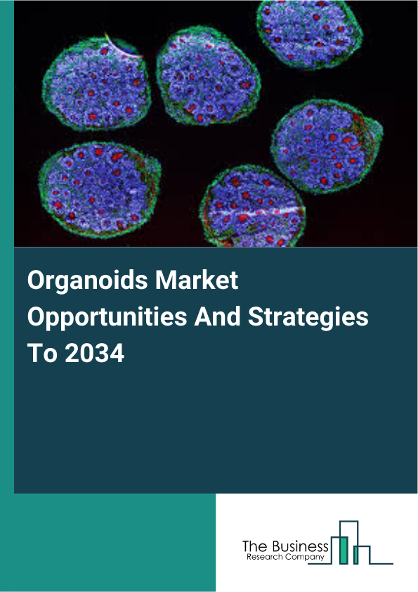 Organoids Market Opportunities And Strategies To 2034