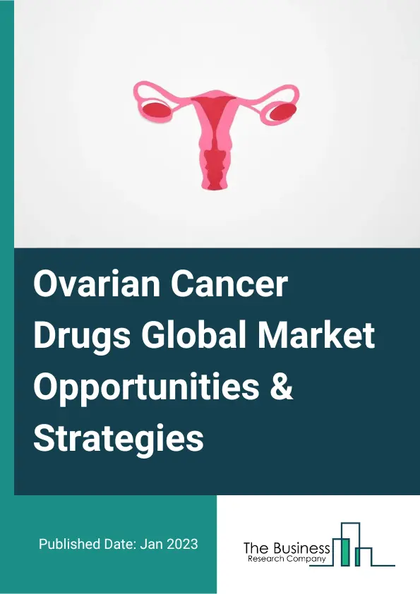 Ovarian Cancer Drugs Market Opportunities and Strategies To 2032