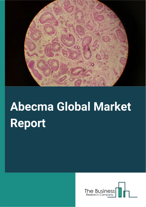 Global Abecma Market Report 2025