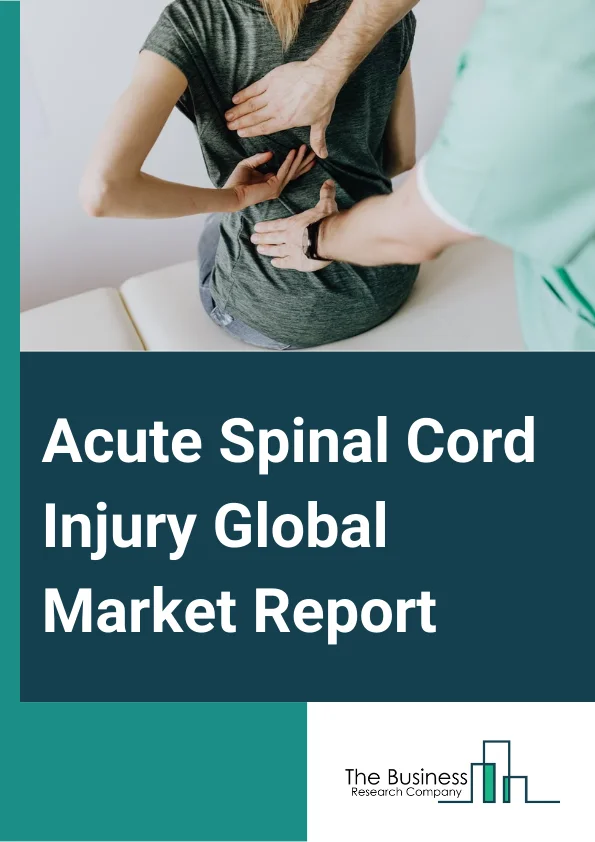 Acute Spinal Cord Injury Global Market Report 2024 