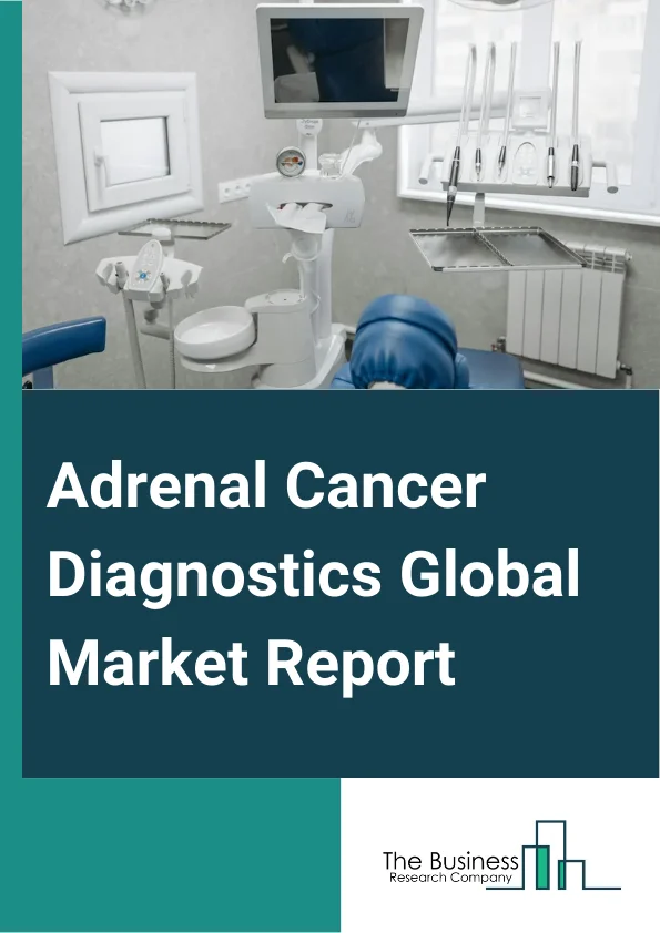 Adrenal Cancer Diagnostics Global Market Report 2025 – By Test (Magnetic Resonance Imaging (MRI), Computed Tomography (CT) Scan, X-ray, Positron Emission Tomography (PET) Scan, Biopsy), By Treatment (Surgery, Chemotherapy, Radiotherapy, Targeted Cancer Therapies, Other Treatments), By Tumor Type (Pheochromocytoma, Adrenal Cortical Carcinoma, Other Types), By End-User (Hospitals, Ambulatory Surgical Centers, Cancer Centers, Other End-Users) – Market Size, Trends, And Global Forecast 2025-2034