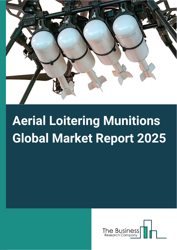 Global Aerial Loitering Munitions Market Report 2025