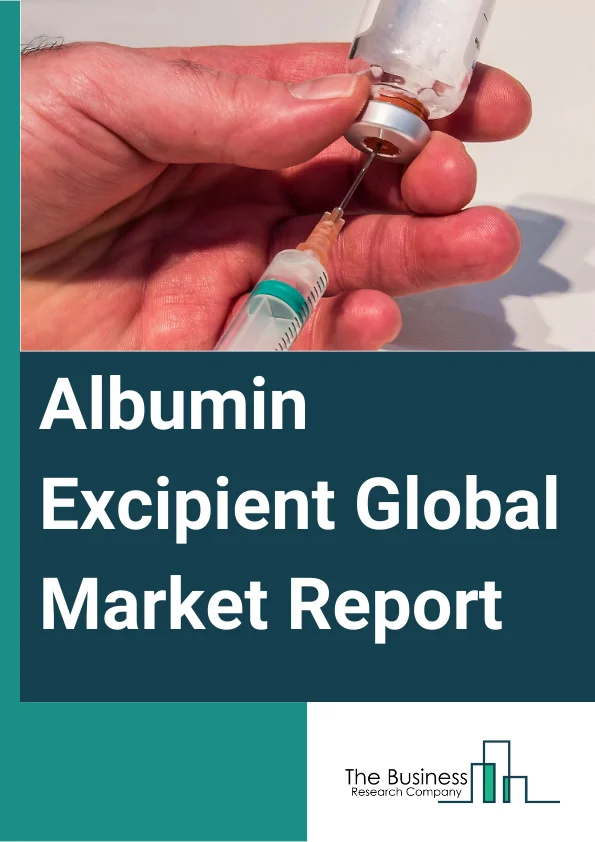 Albumin Excipient Global Market Report 2025 – By Product (Human Serum Albumin, Recombinant Albumin), By End-Users (Pharmaceutical And Biotechnology Industry, Research Institutes, Other End Users) – Market Size, Trends, And Global Forecast 2025-2034