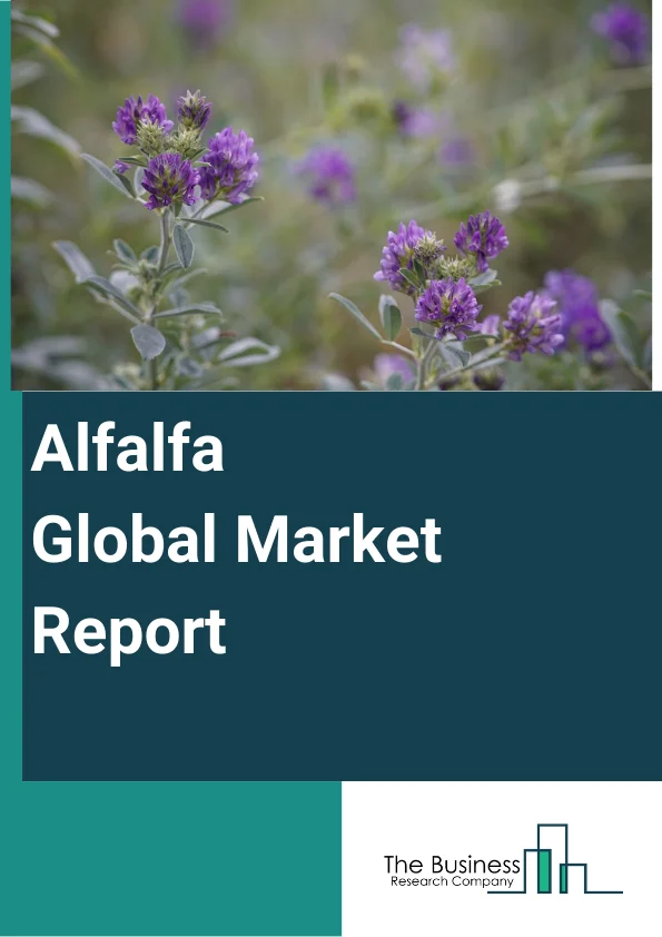 Global Alfalfa Market Report 2024