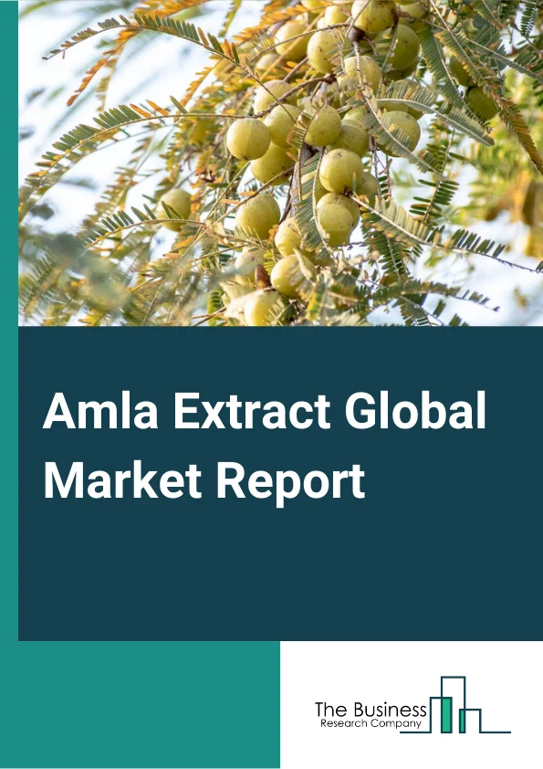 Amla Extract Global Market Report 2024 – By Type (Powder, Pulp), By Application (Food And Beverages, Pharmaceuticals, Personal Care And Cosmetics, Nutraceuticals), By End Use (Diabetes, Radiation Protection, Skin And Collagen, Heartbeat) – Market Size, Trends, And Global Forecast 2024-2033