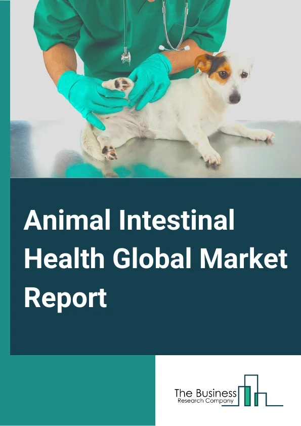 Animal Intestinal Health Global Market Report 2023 – By Product (Phytogenics, Probiotics, Immunostimulants, Prebiotics), By Source (Microbial, Plant-Based), By Form (Dry, Liquid), By Livestock (Poultry, Swine, Ruminant, Aquaculture) – Market Size, Trends, And Global Forecast 2023-2032