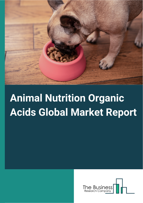 Global Animal Nutrition Organic Acids Market Report 2025