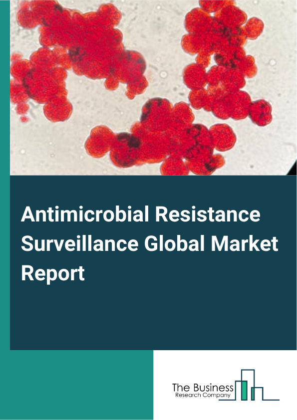 Global Antimicrobial Resistance Surveillance Market Report 2025