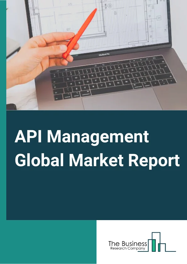 API Management  Market Report 2023