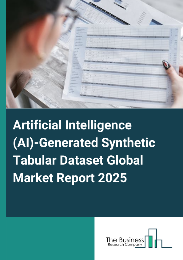Global Artificial Intelligence (AI)-Generated Synthetic Tabular Dataset Market Report 2025
