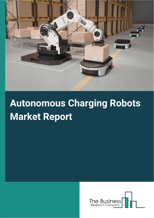 Autonomous Charging Robots Market Report Infographic Image