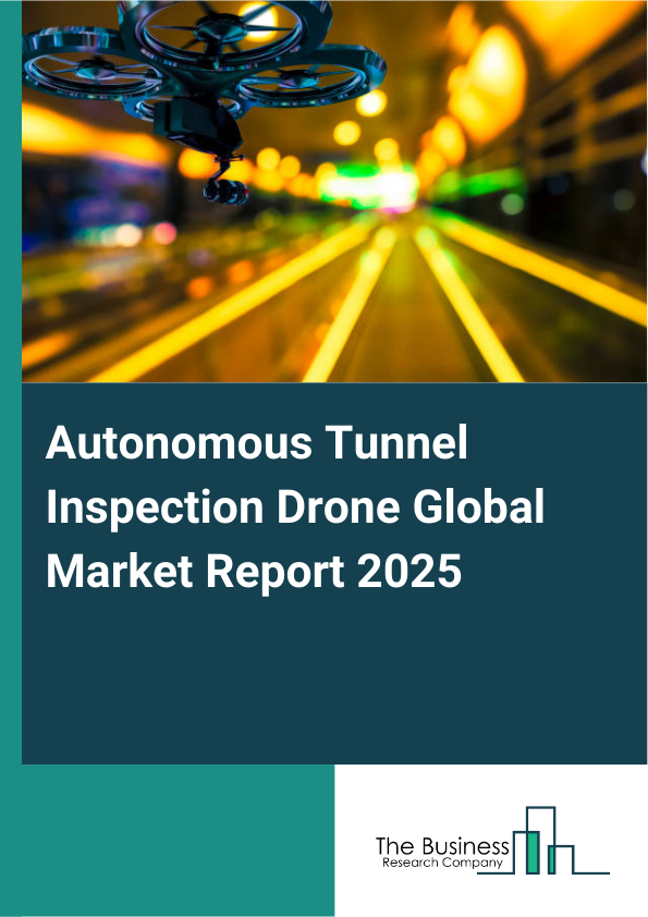 Global Autonomous Tunnel Inspection Drone Market Report 2025