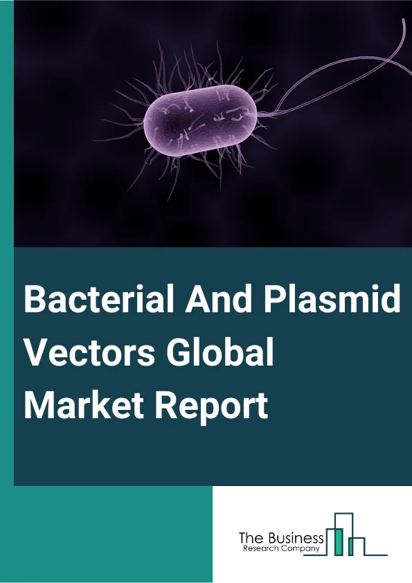 Bacterial And Plasmid Vectors Global Market Report 2025 – By Host Type (E.Coli Expression Vectors, Other Bacterial Expression Vectors), By Application (Genetics, Molecular Biology, Bioinformatics, Other Applications), By End Users (Hospitals, Homecare, Specialty Clinics, Other End Users) – Market Size, Trends, And Global Forecast 2025-2034