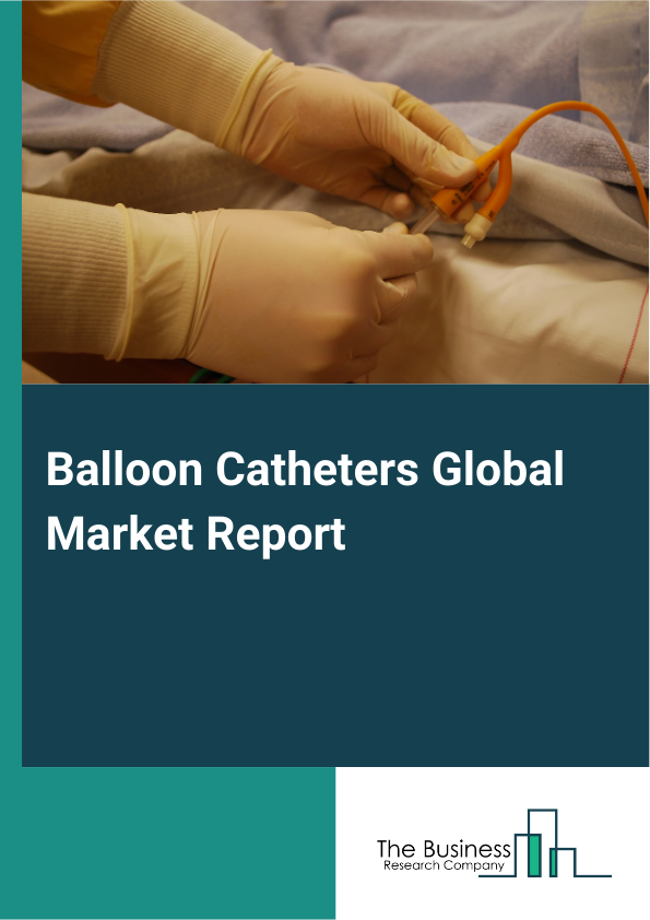 Global Balloon Catheters Market Report 2025